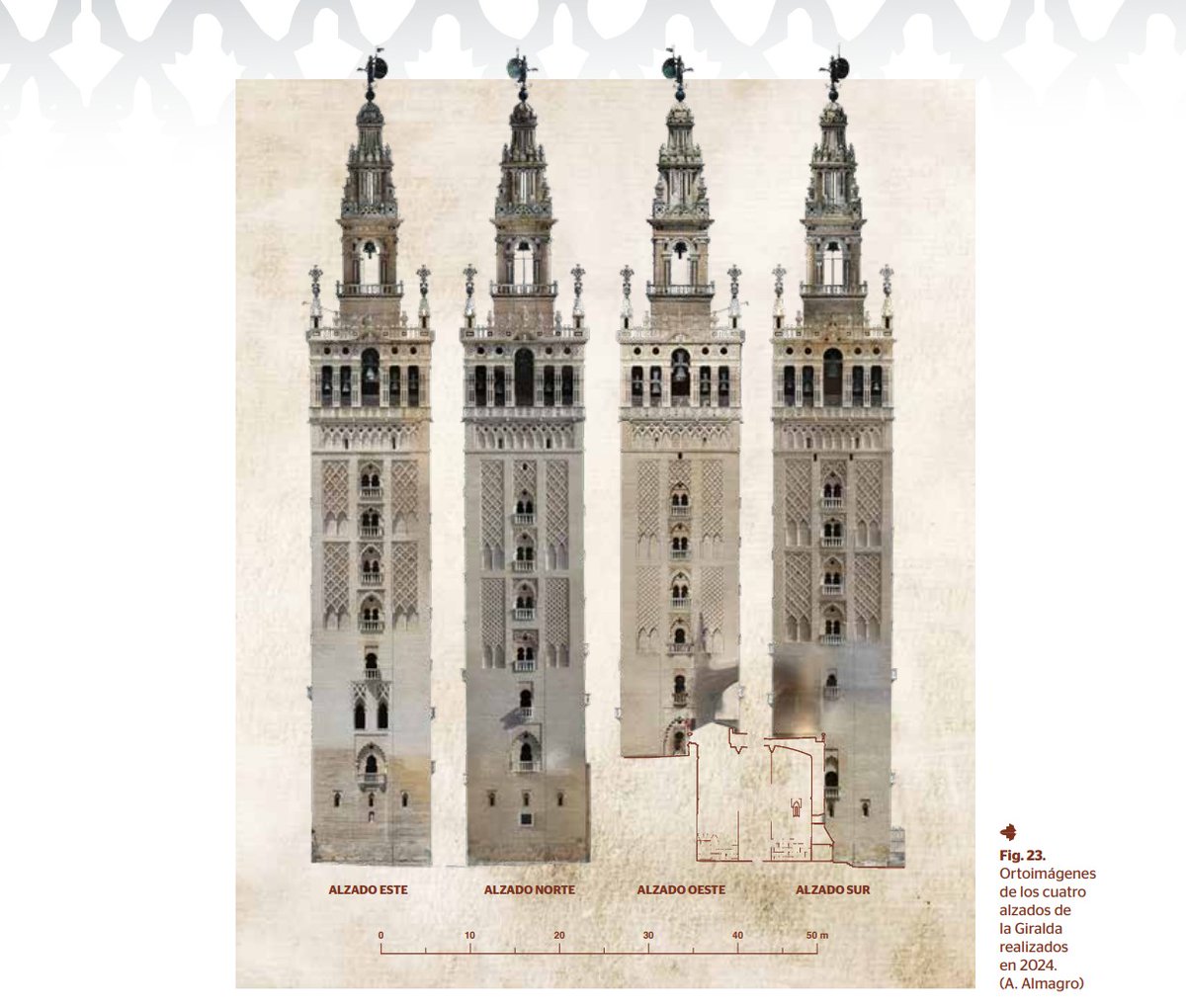 Catedral de Sevilla Oficial tweet media