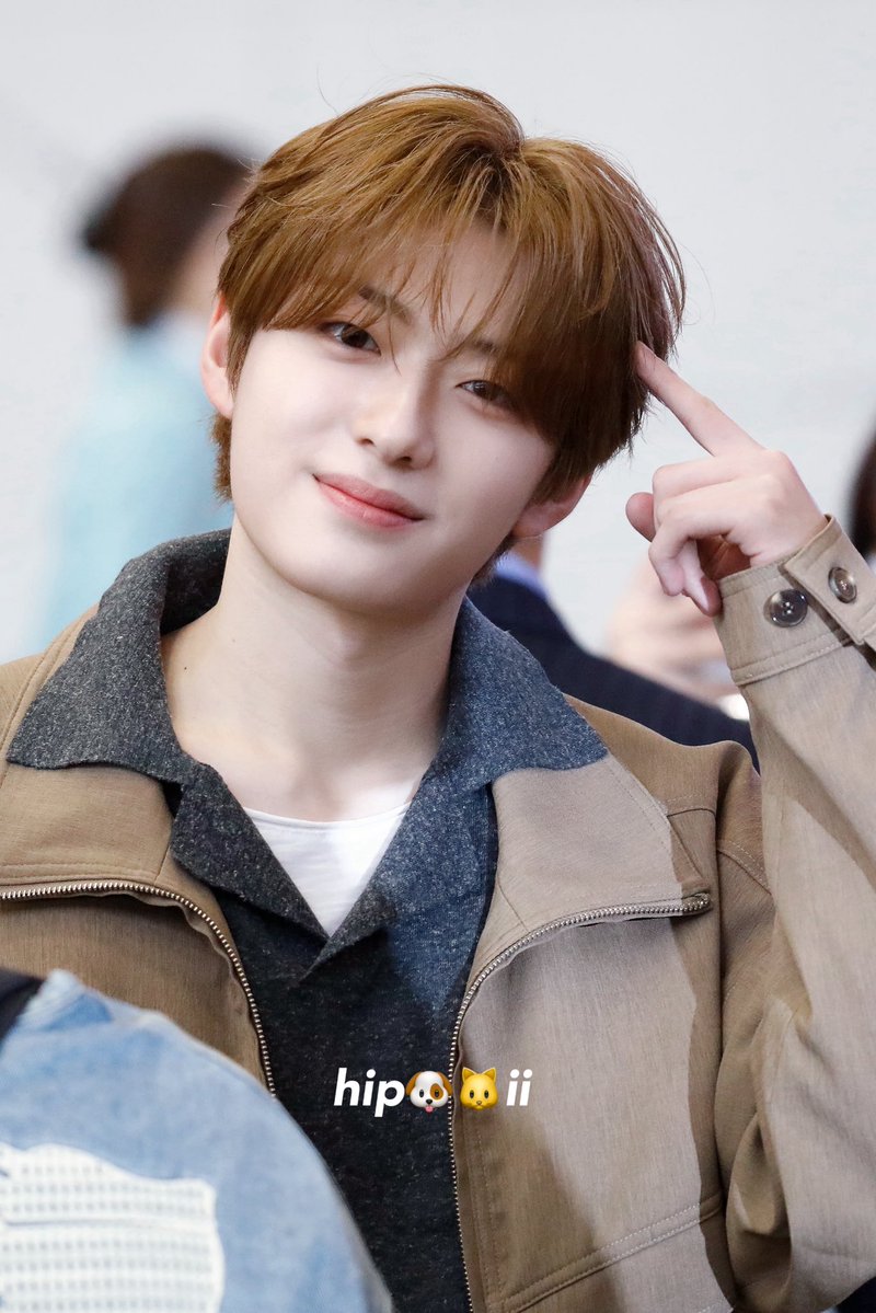 힙🐶🐱이 tweet media