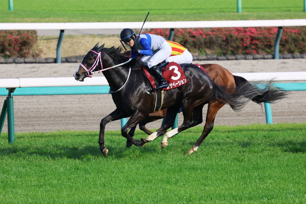 イッシー tweet media