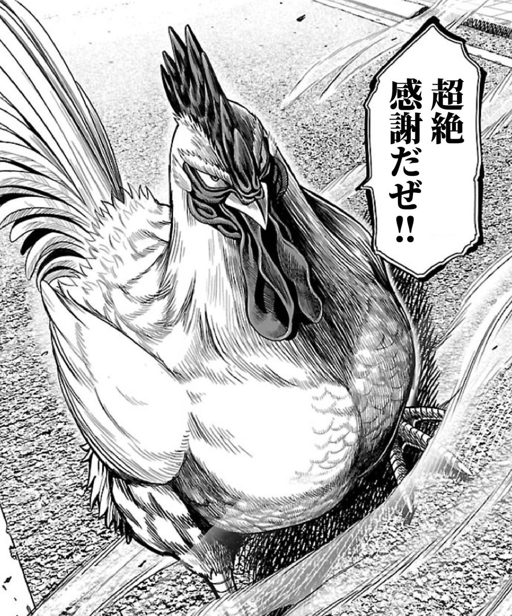 ニワトリ・ファイター【公式】4/5(日)TVアニメ放送開始! tweet media