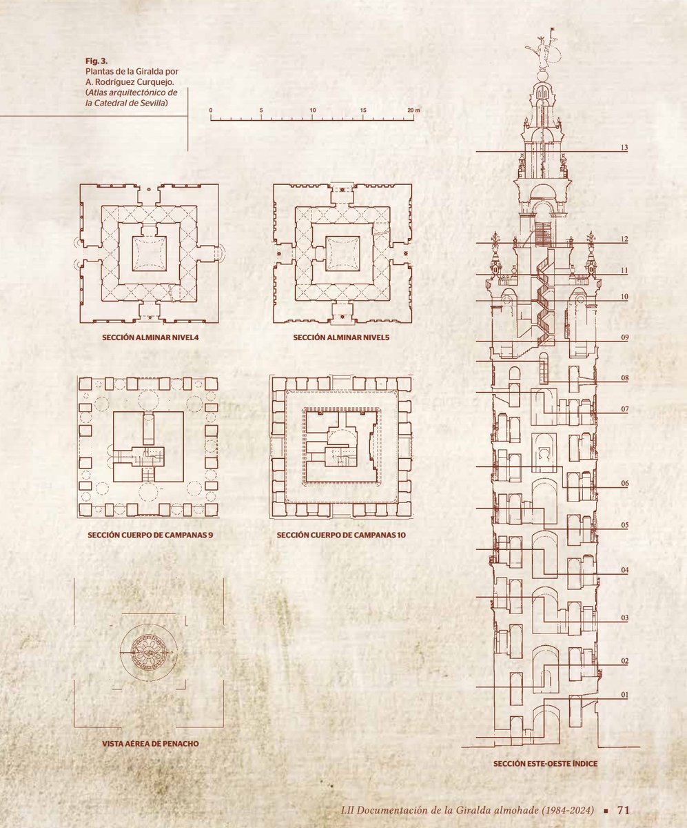 Catedral de Sevilla Oficial tweet media
