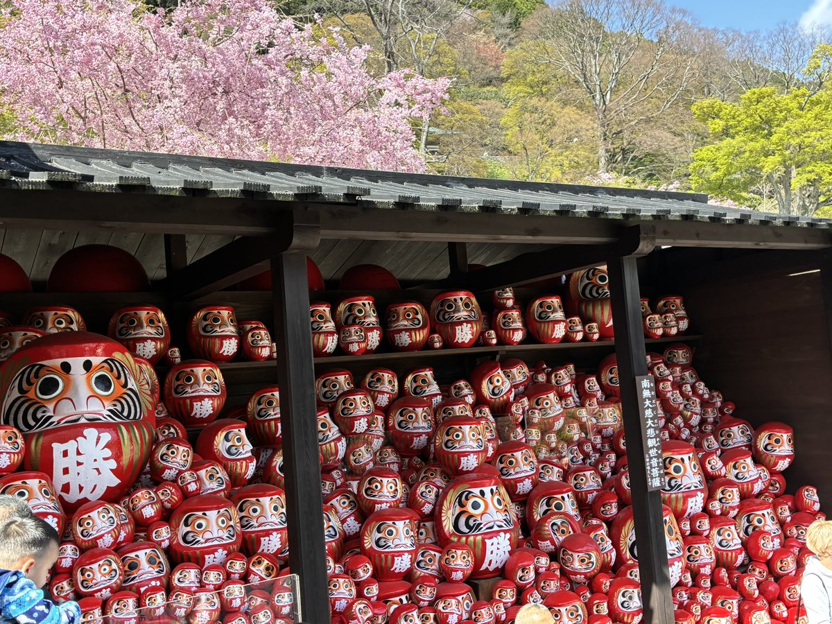 どんどこ。 tweet media