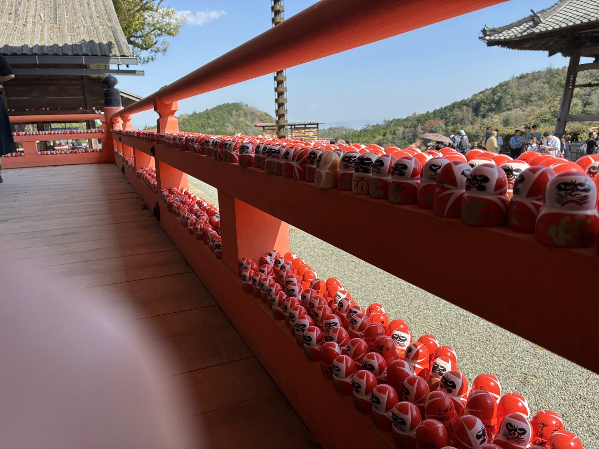 どんどこ。 tweet media