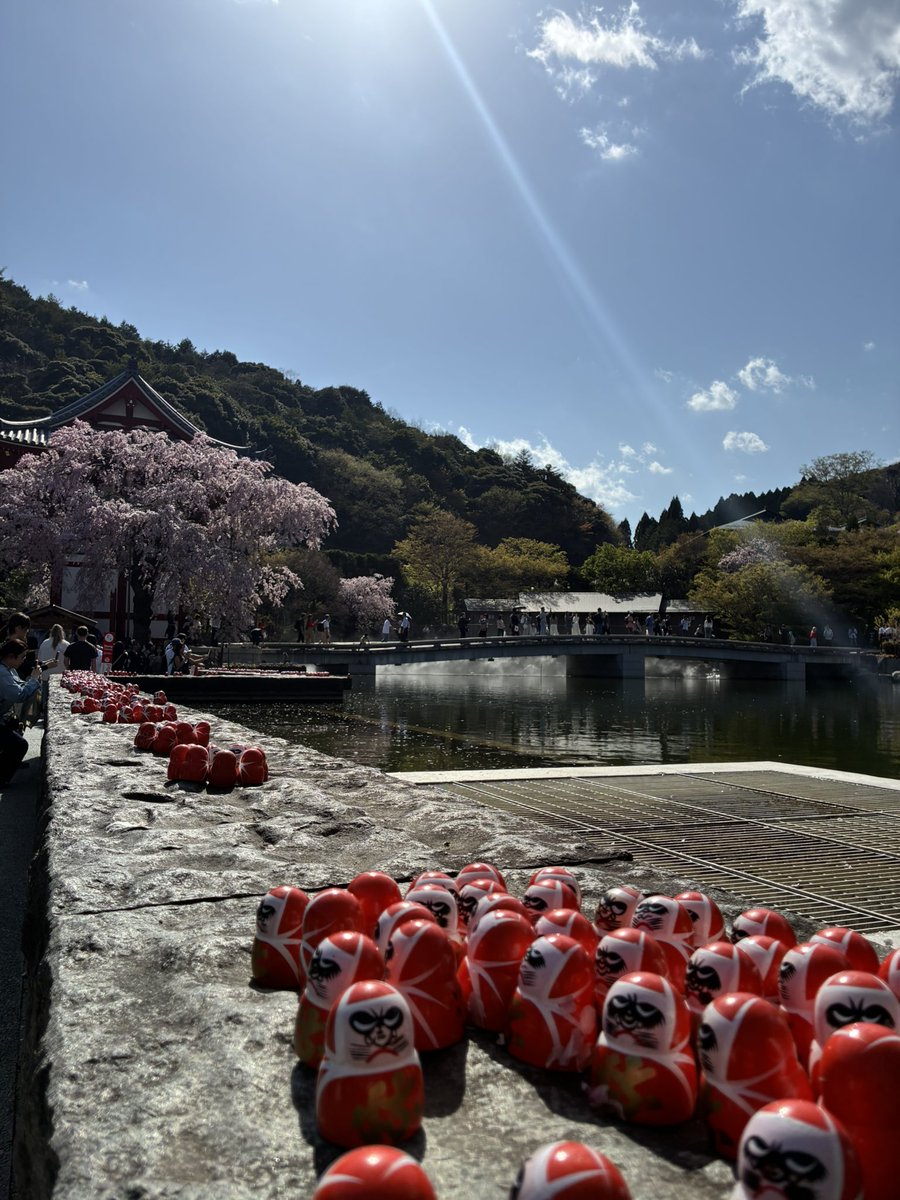 どんどこ。 tweet media