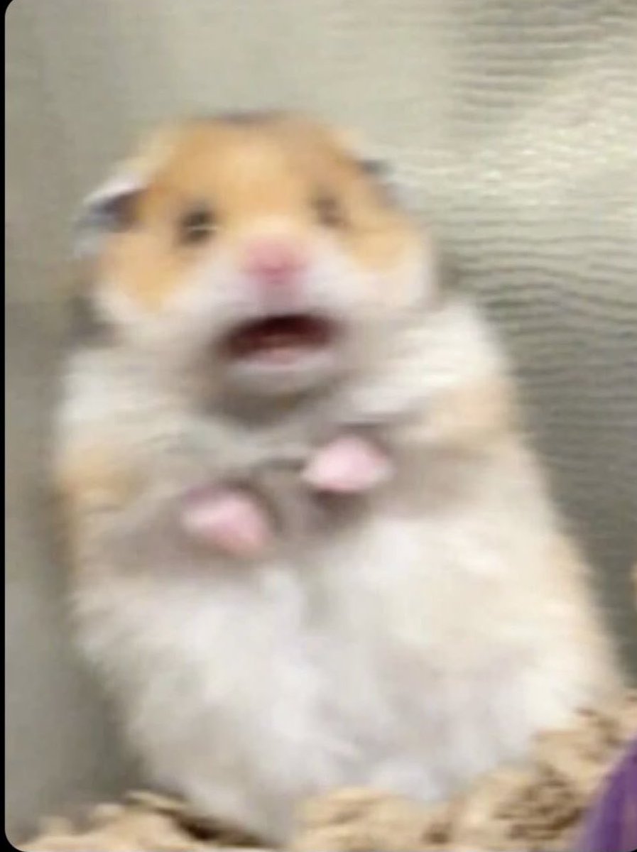 ~𝐄𝐥𝐢𝐳𝐚 ⭕️✍️ tweet media