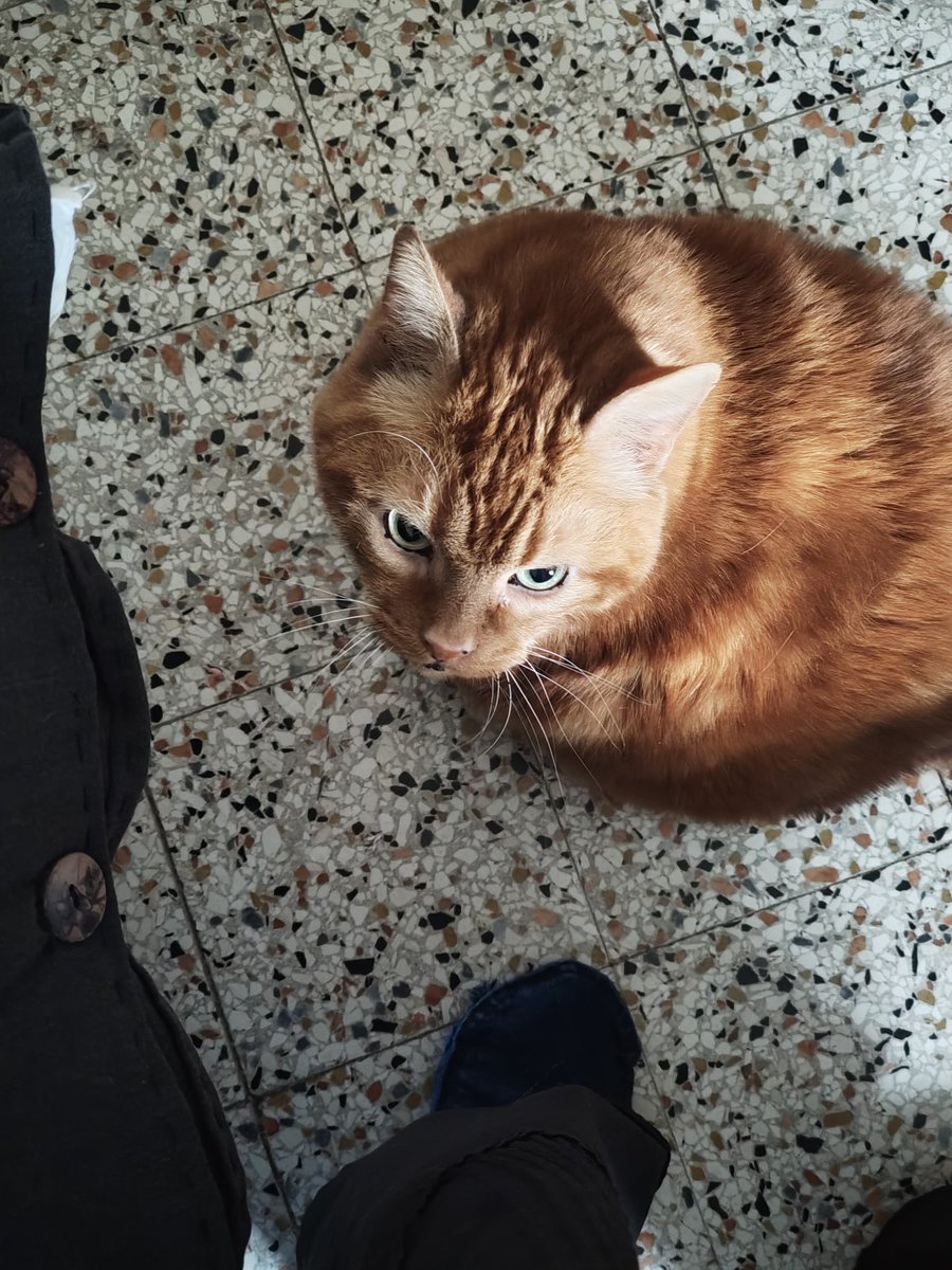 Ma Sticazzi tweet media