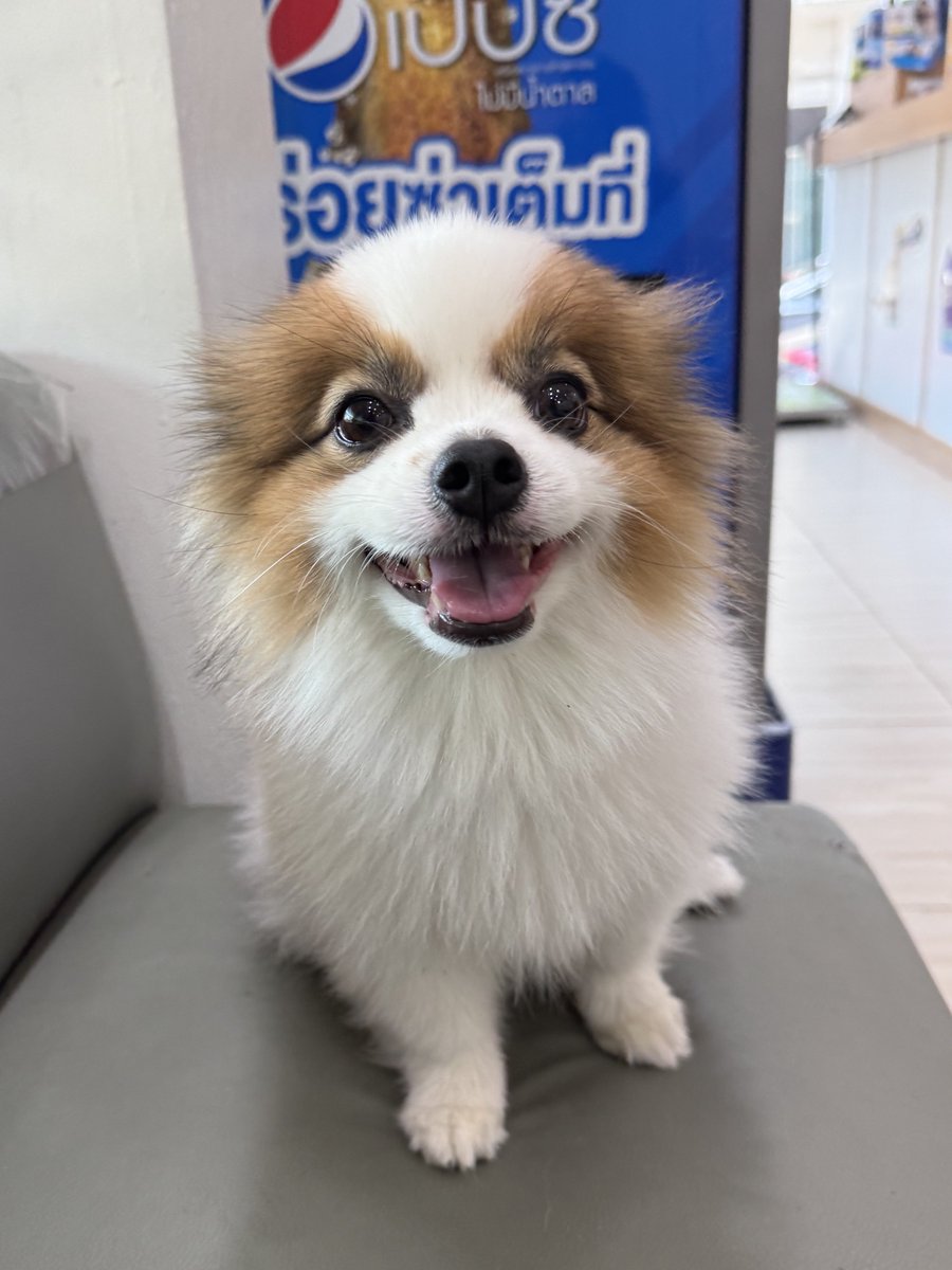 DNVP 💋 (Malonfamily) tweet media