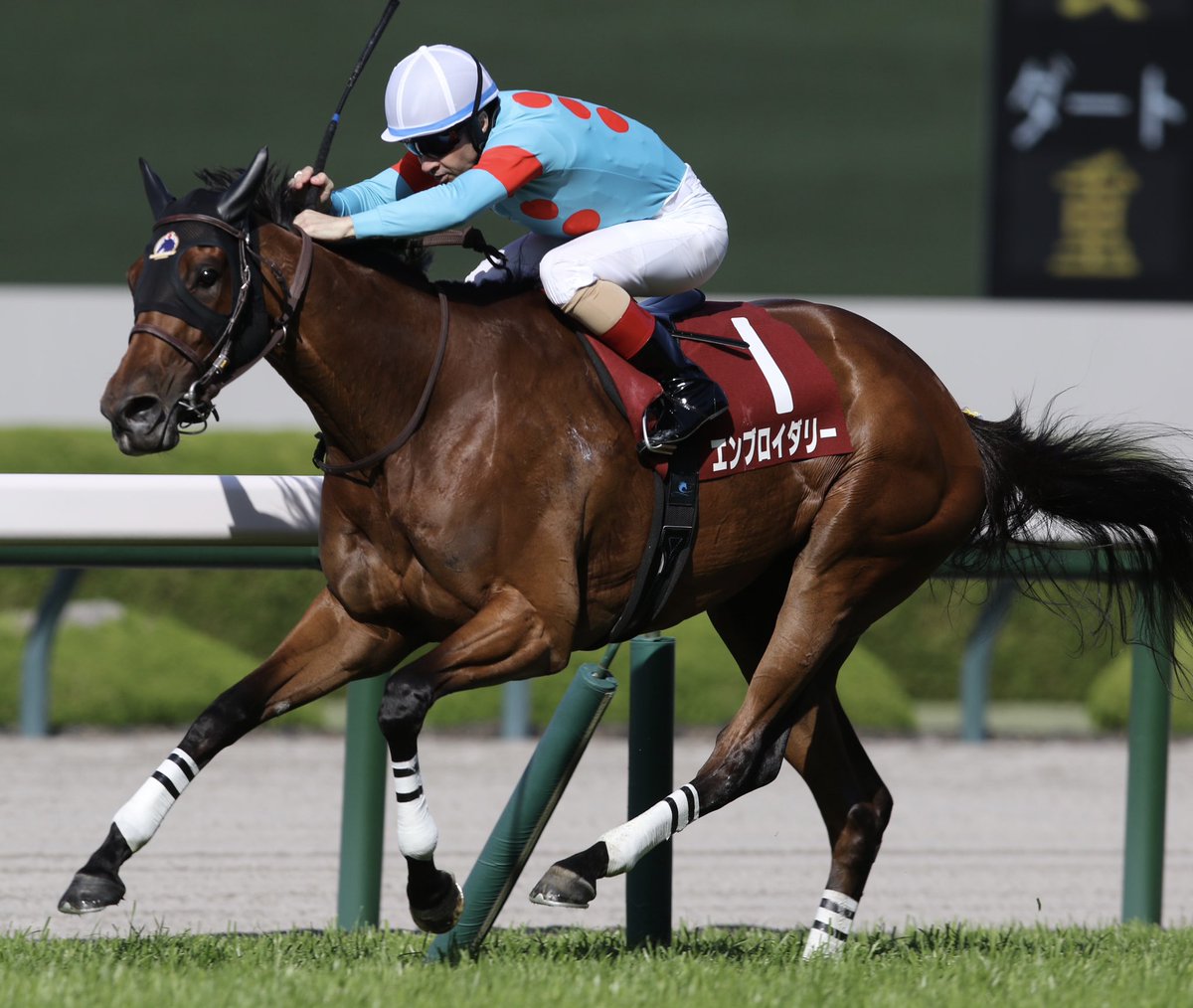 hanehiro_deep's tweet photo. 2026/4/11  阪神11R
第69回 阪神牝馬ステークス(GII)
エンブロイダリー
(父:アドマイヤマーズ)

昨年の二冠牝馬が力を見せつける見事な勝利 https://t.co/Bp0rgR2ELJ