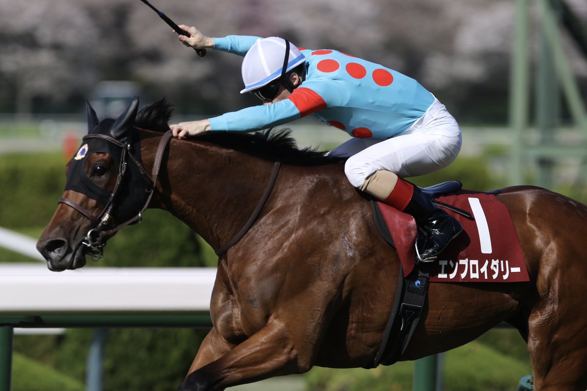 hanehiro_deep's tweet photo. 2026/4/11  阪神11R
第69回 阪神牝馬ステークス(GII)
エンブロイダリー
(父:アドマイヤマーズ)

昨年の二冠牝馬が力を見せつける見事な勝利 https://t.co/Bp0rgR2ELJ