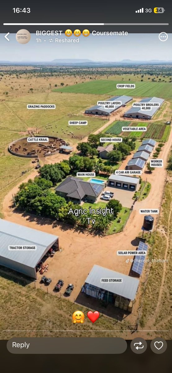 HOMESMAN“🐳 $BLUAI” tweet media