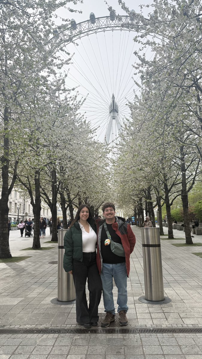 IamAlejorules tweet media