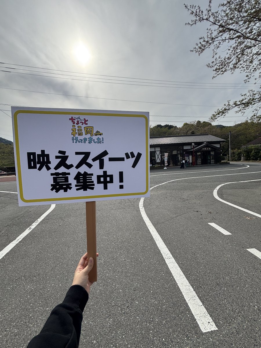 もにた【テレQ公式】 tweet media