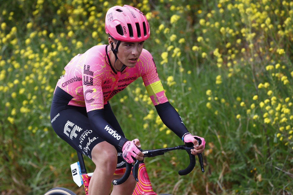 Bence Czigelmajer tweet media