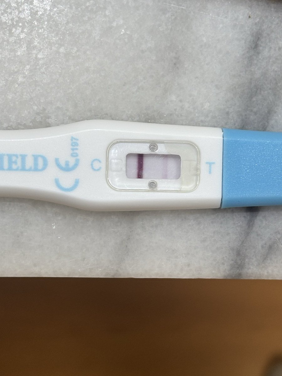 Proyecto Papas tweet media