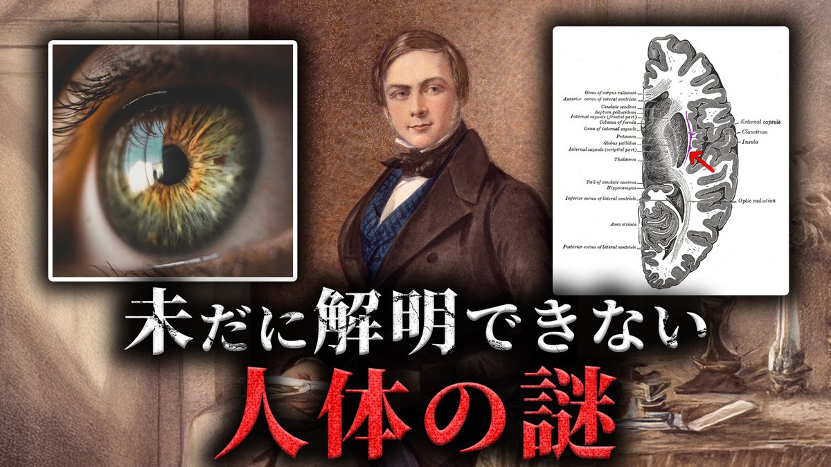 【未解明】明らかにおかしい未だ解明できない人体の謎4選がヤバすぎた...。Part11【 生物学 解剖学 ミステリー 】

youtu.be/PruevKSF9sg
