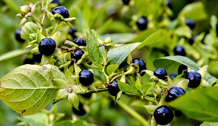 Interesting Facts tweet media