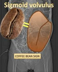 Dr PARVEEN YOGRAJ tweet media