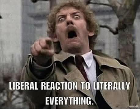 Lef T. Moquer tweet media