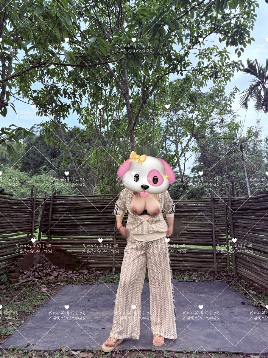 Rosa的奇幻之旅 tweet media