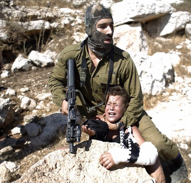 Minimal Freedom 🎒 tweet media