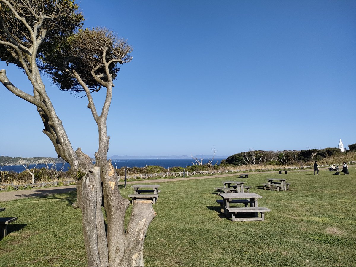 マッピー tweet media