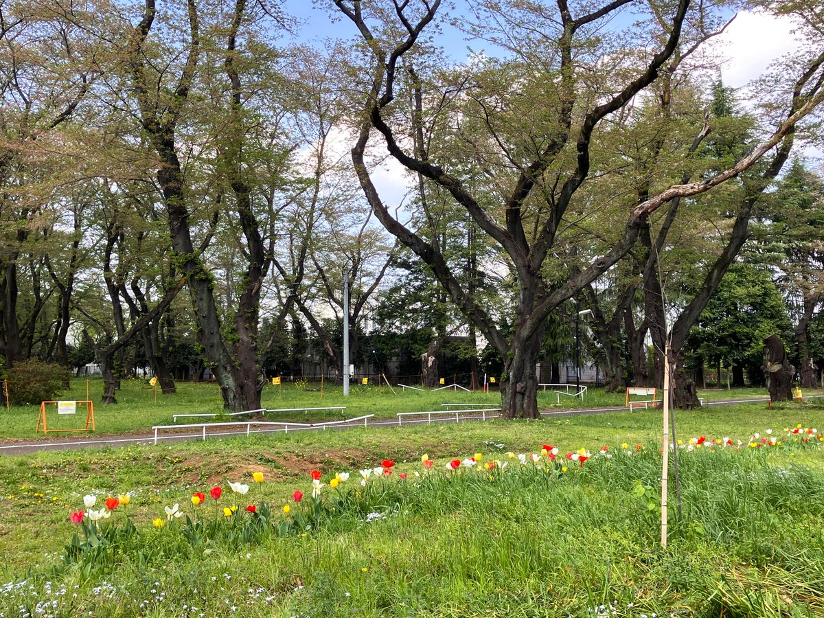 hansensdiseasem's tweet photo. 🎉本日、午後1時30分から常設展示解説を実施しました📣
当館学芸員によるハンセン病療養所内での過酷な生活の説明🙌いかがでしたか。本日はお子さまを含め、22名の方々にご参加いただきました。ありがとうございました。皆さまには、今日の解説の中から一つでも心に残ったことをご家族・ご友人にお伝えいただけたら、うれしく思います📝
今日の屋外は暑いぐらいの陽気ですが、新緑が気持ちのよい季節🌳🌳
次回の常設展示解説は、29日（祝・水）午後1時30分からです。国立ハンセン病資料館にご来館ください。
↓常設展示解説の詳細はこちら↓（当館HP）
https://t.co/TedrjAt6tj

#国立ハンセン病資料館　#展示解説　#東村山市