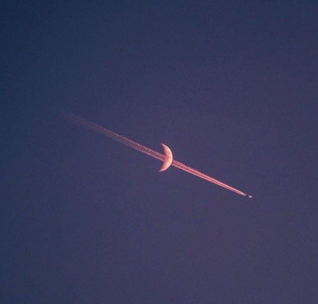 MOON LOVER tweet media