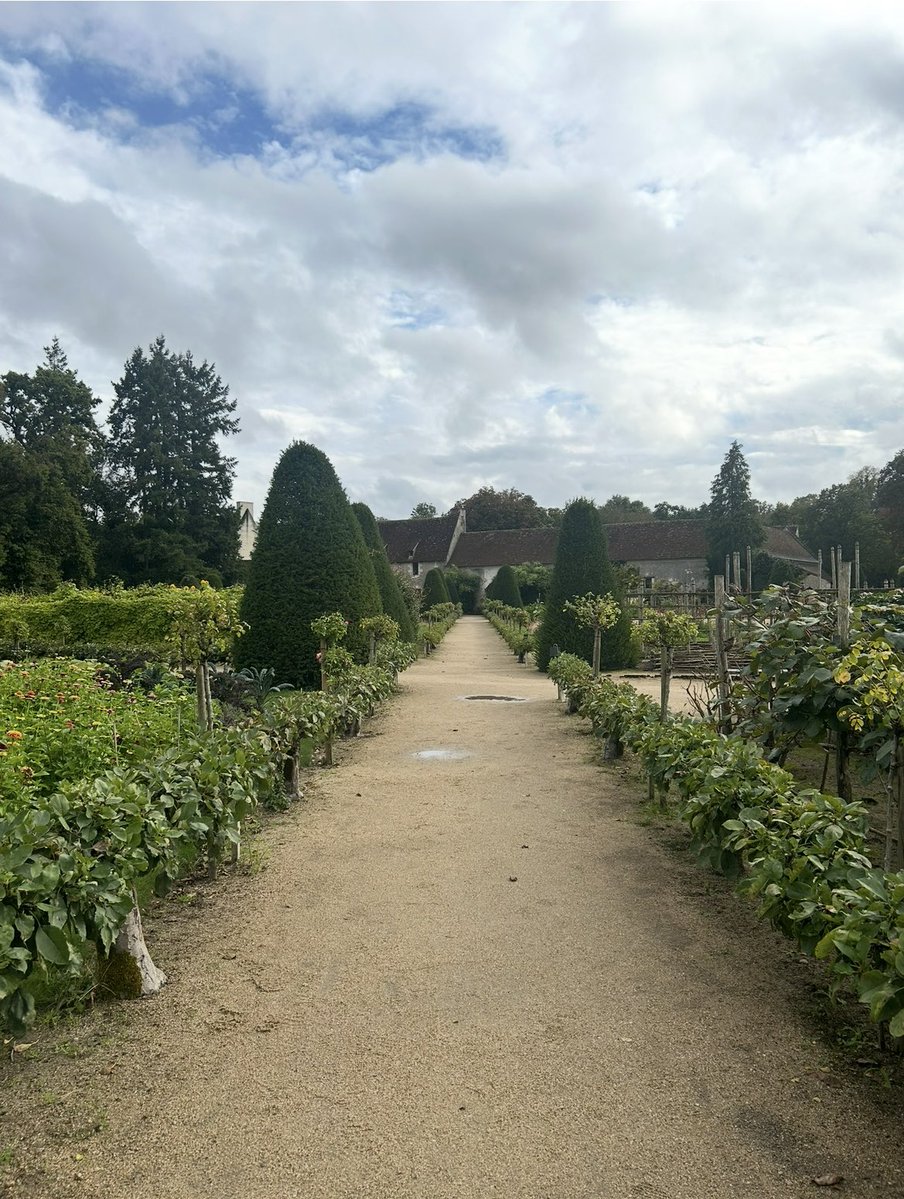 ラテルネ Laterne tweet media