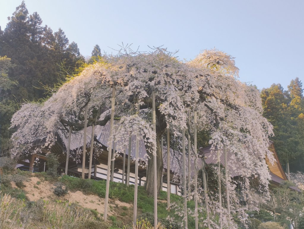 かまやんの麺活備忘録🍜 tweet media