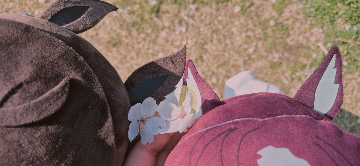 宿命ぬい tweet media