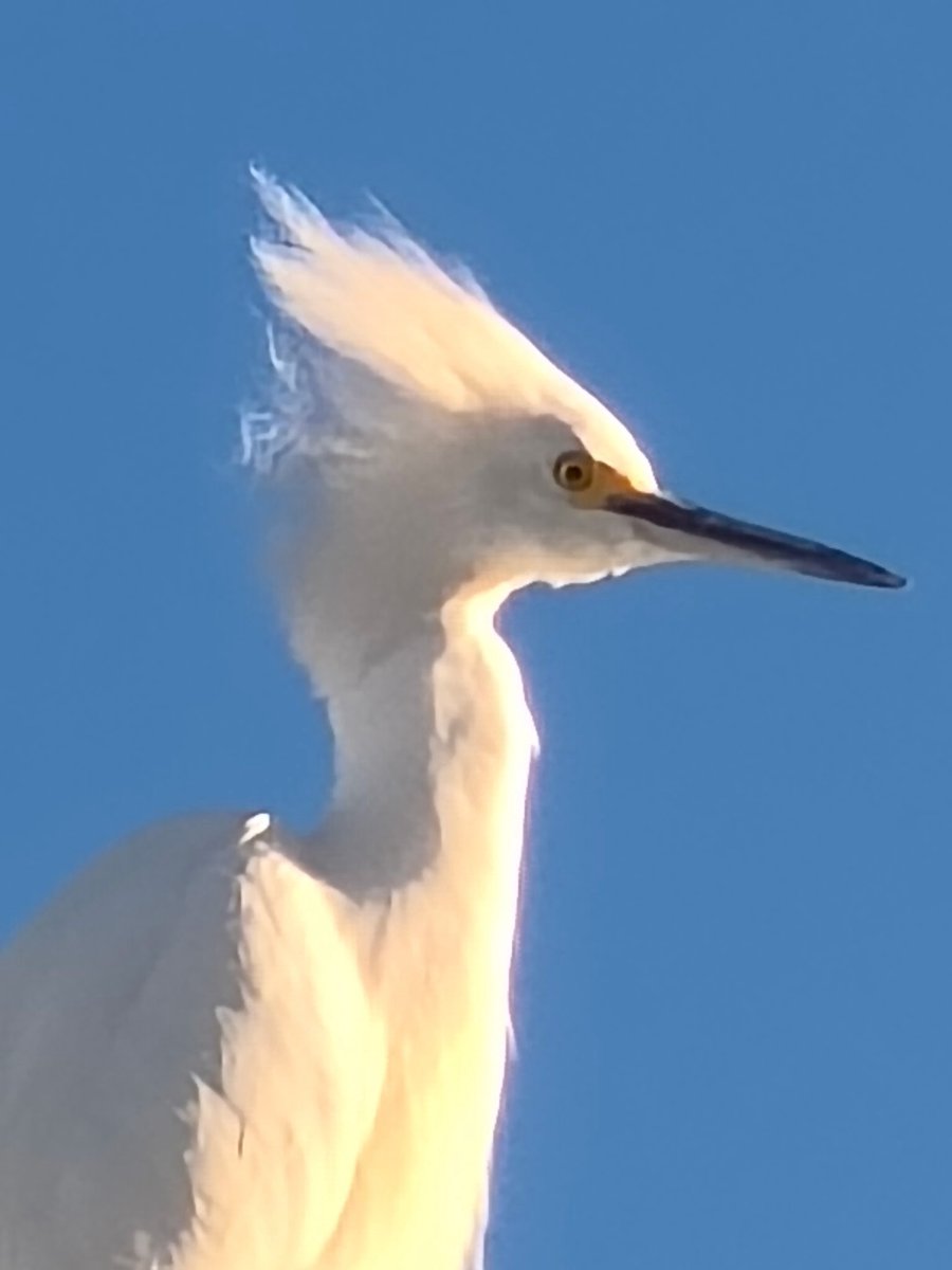 SıLэПТxGuЯu tweet media