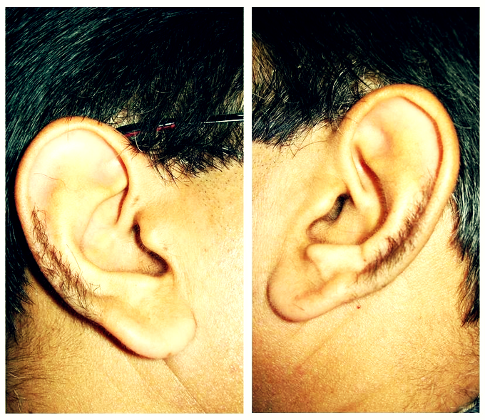 Peak Labs tweet media