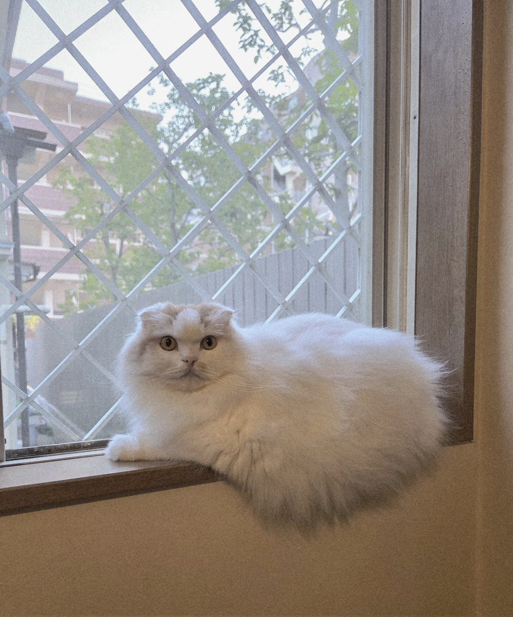 是永巧一 tweet media