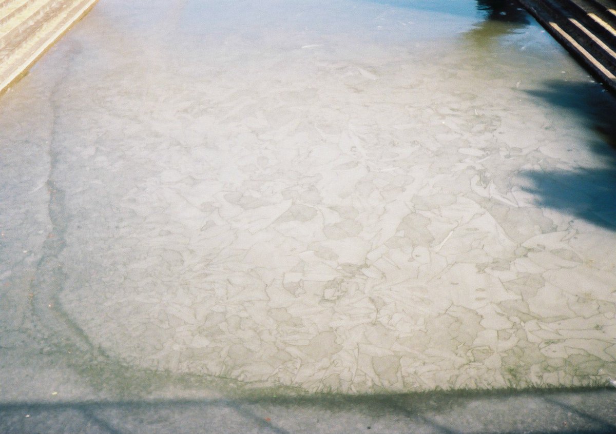 小井里 ゆか tweet media