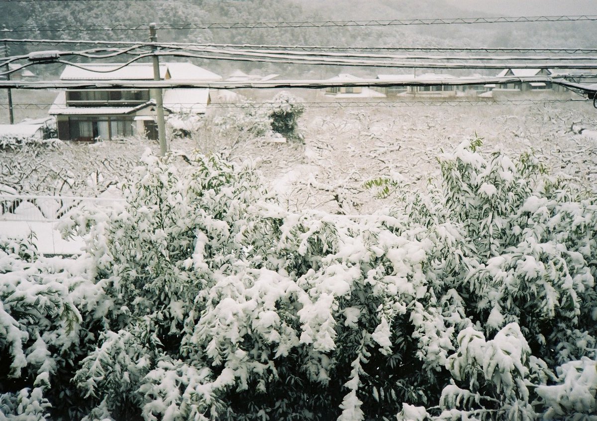 小井里 ゆか tweet media