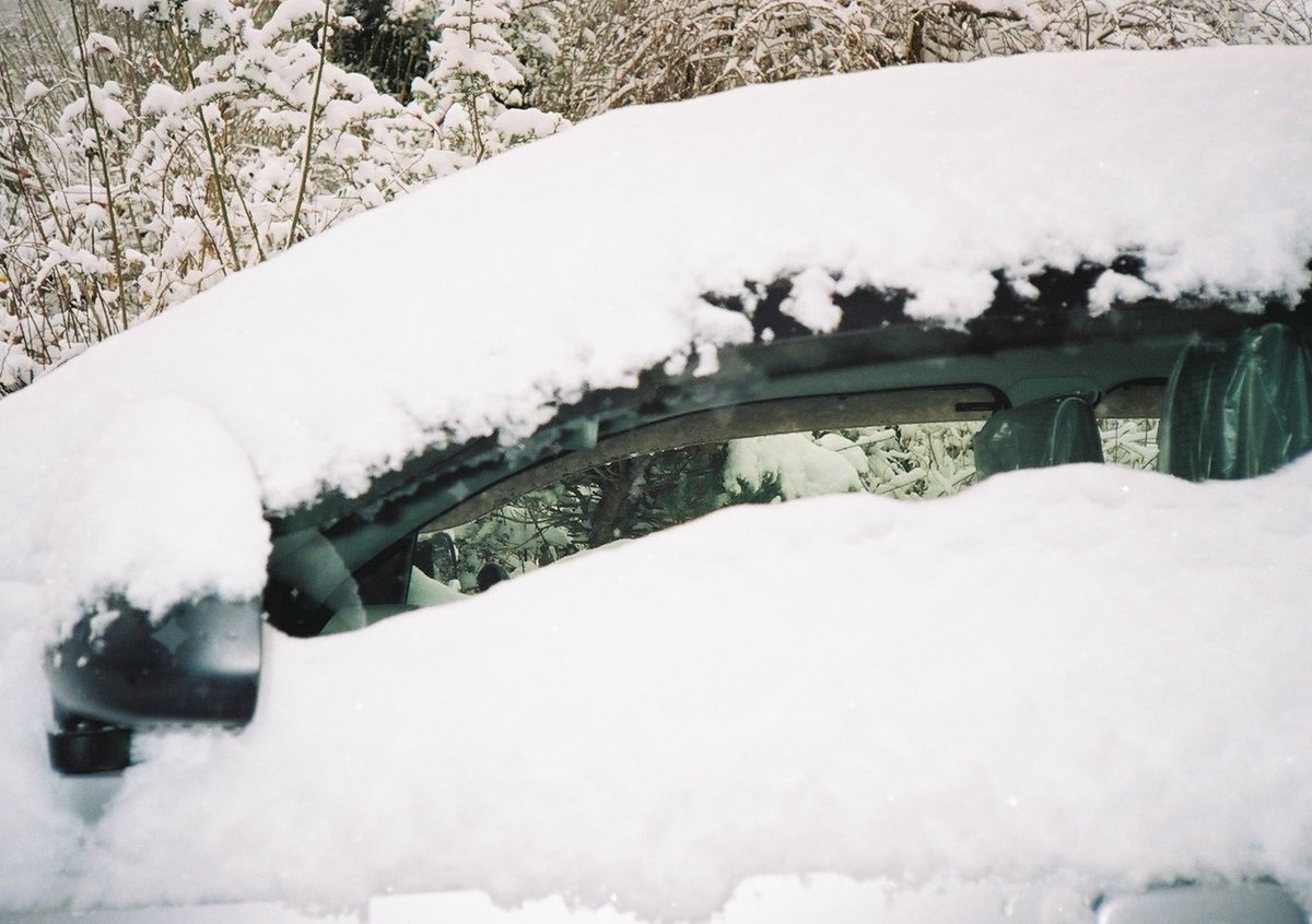 小井里 ゆか tweet media