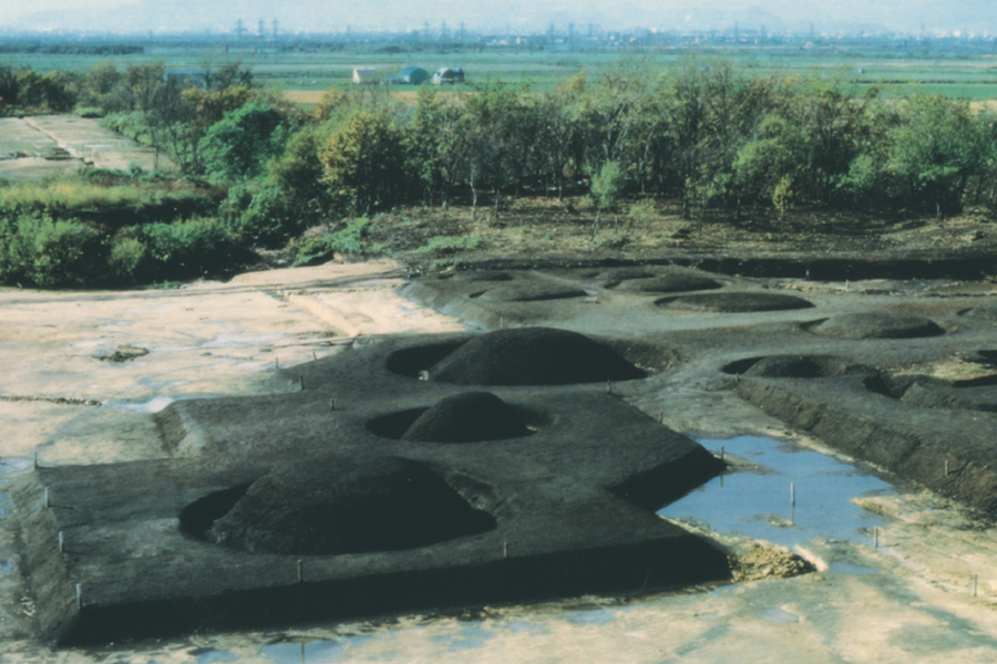 トイヌプリ tweet media