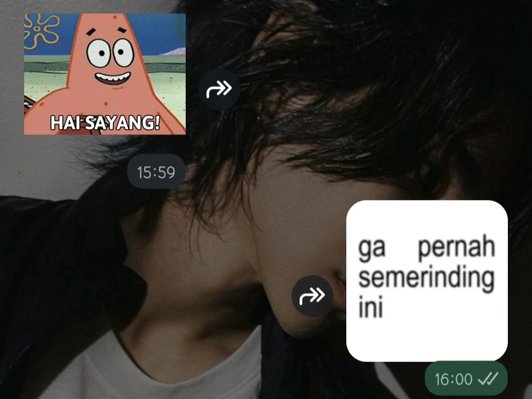 orang males bales chat = mengandalkan sticker 👍