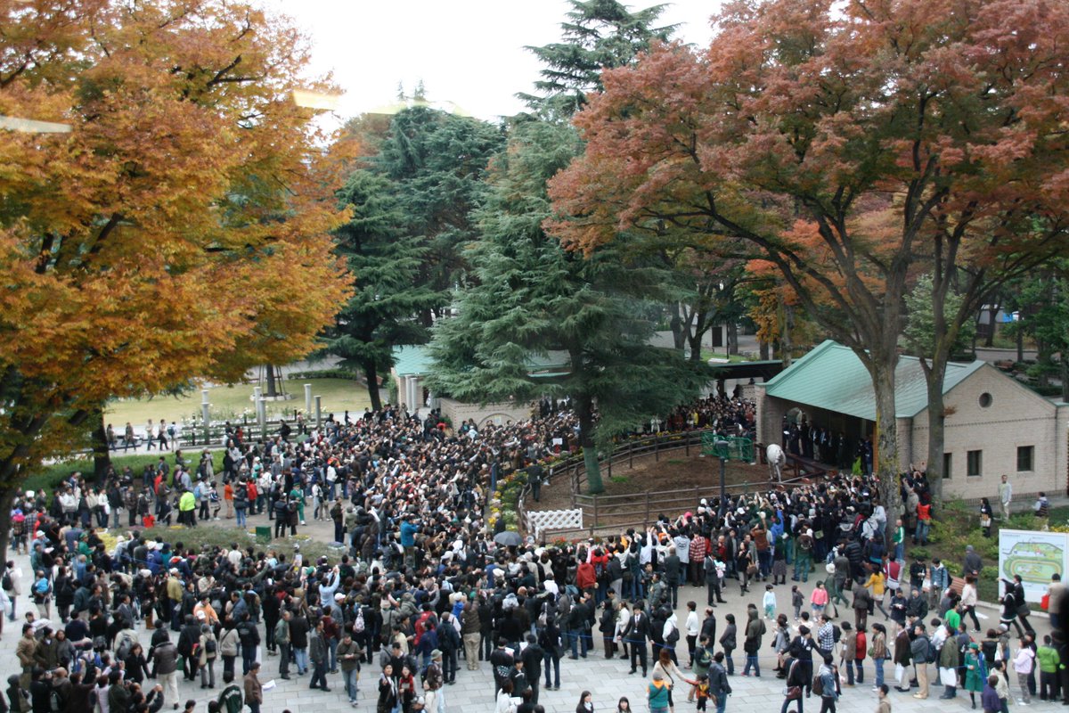 トム子 tweet media