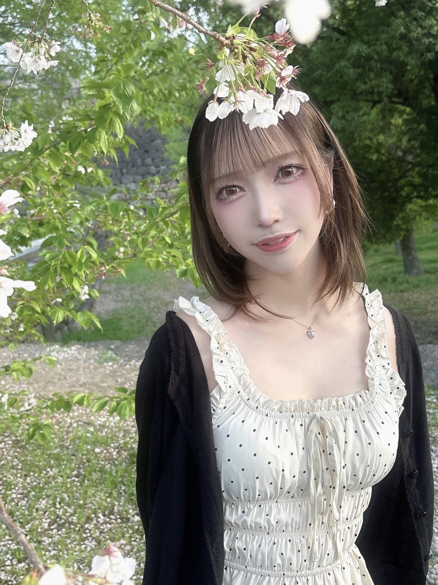 めこたん tweet media