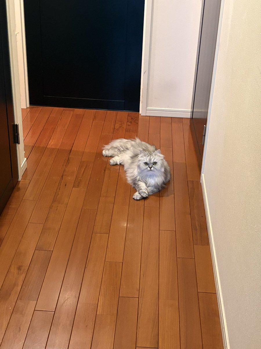 RealGal🎺 tweet media