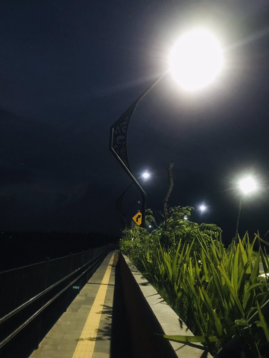 Pomodori tweet media