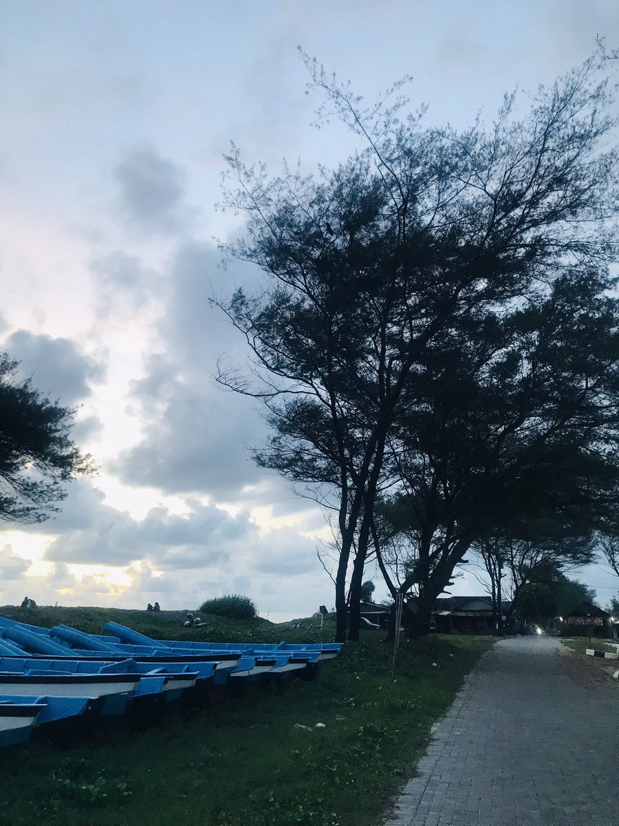 Pomodori tweet media