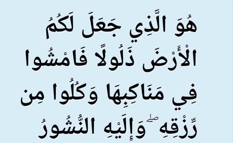 🔻mohamed🔻 tweet media