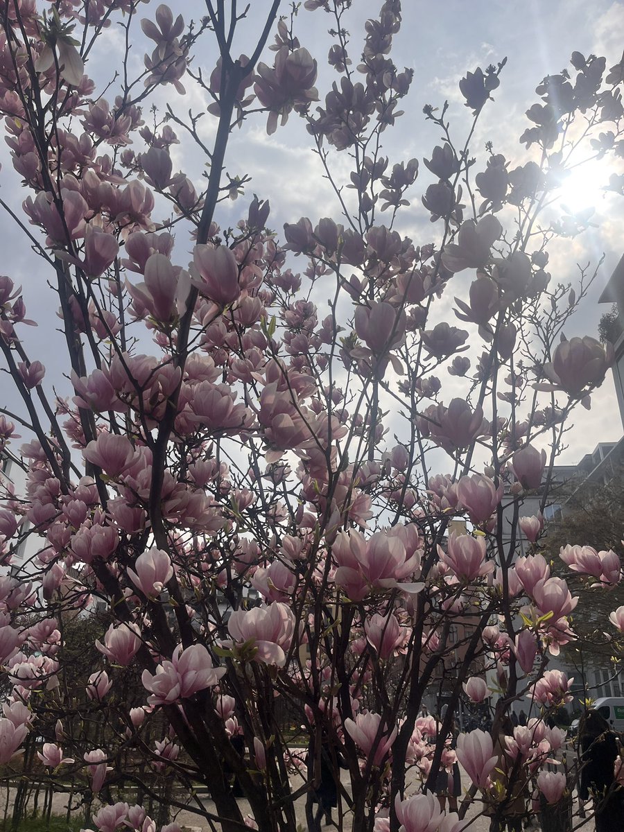 andreacruz93's tweet photo. “Yo cambio la primavera por que tú me sigas mirando” https://t.co/F0MrlRcq4P