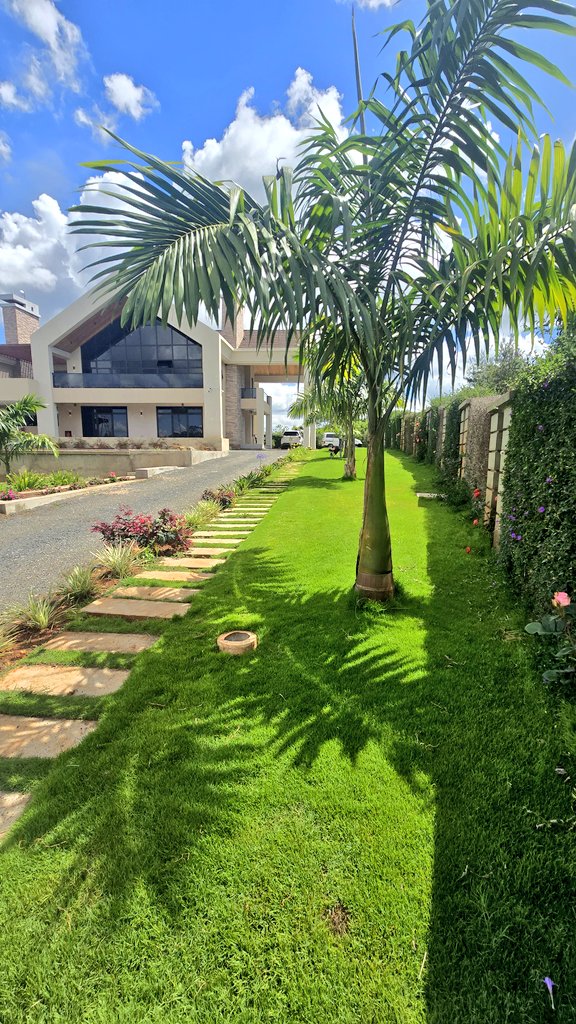 Architect Mwangi tweet media