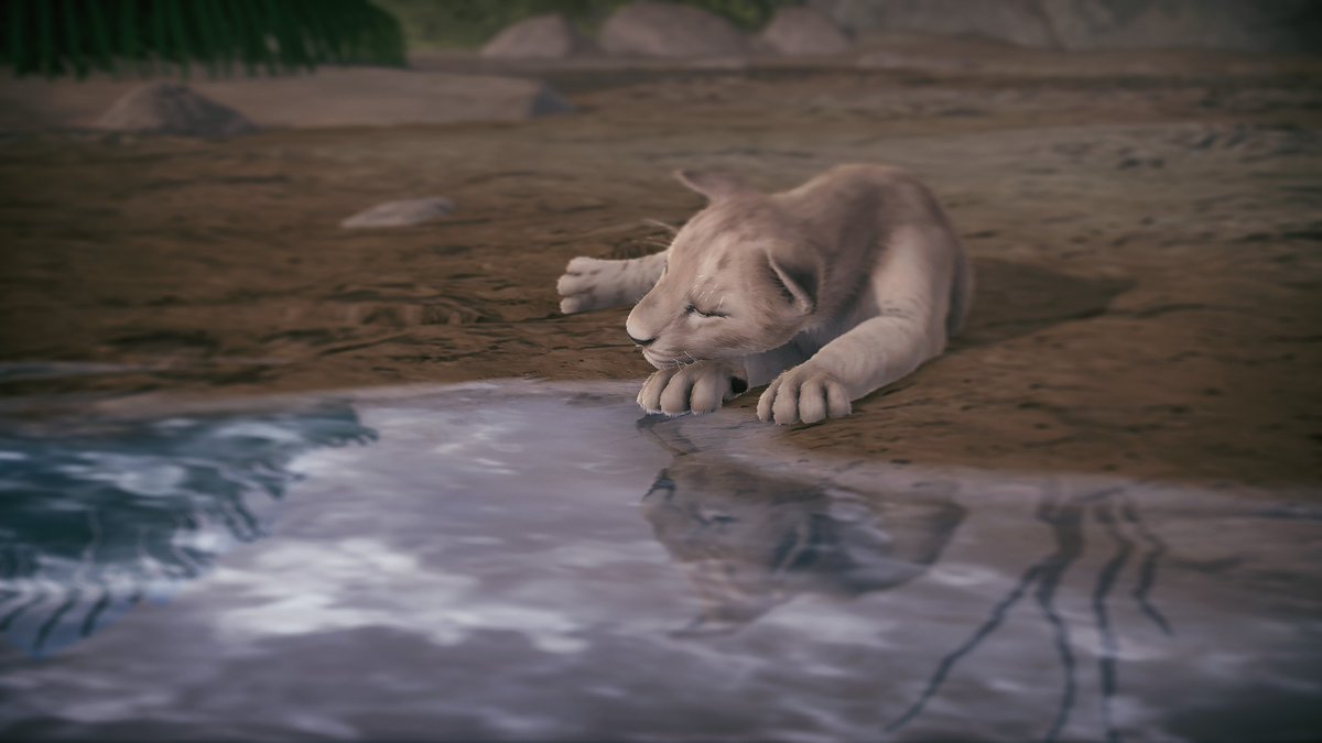 spread_her_wing's tweet photo. Dream a Little Dream of...
#SeclusaPhotoContest #healingshot #seclusa #virtualphotography https://t.co/6TMoWBM4e9