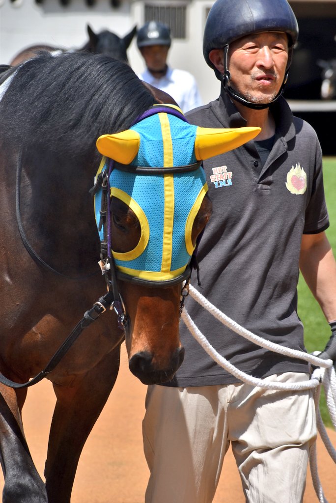 けーさん☆聖奈！ tweet media