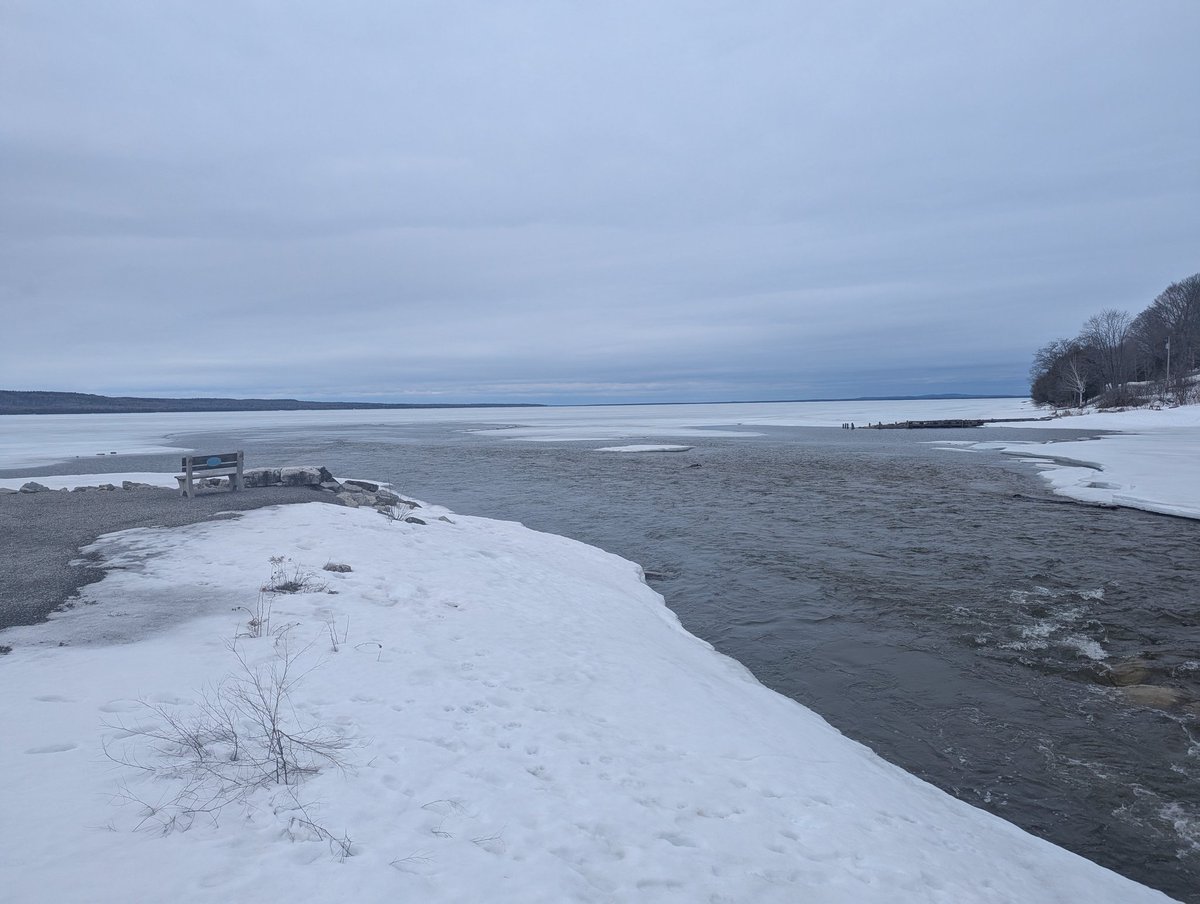 ClarkeBitter's tweet image. Good morning! Can't decide if I'm going fishing, or playing video games this morning 😜 I'm definitely having #coffee and #cannabis while I make up my mind! Nice and sunny, just above freezing atm. Still lots of ice, AND open water at the river! Decisions, decisions 😂 
✌️💚🪴