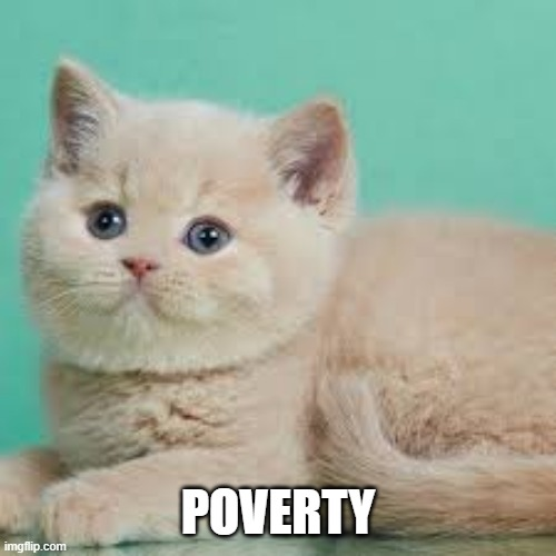 Juan Perez tweet media